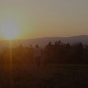 dala som to.:)
