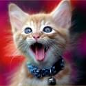 SLOVENSKOOOOOOO DOTOHOOOOOOOOOO !!!!!!!!!!!!!!!!!