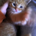 <3