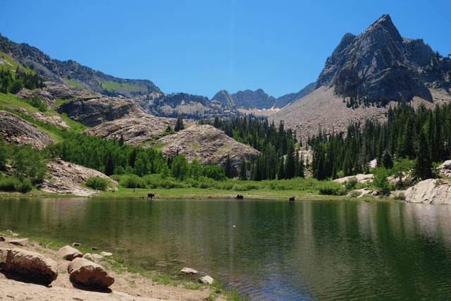 Lake Blanche, Utah a losia seansa