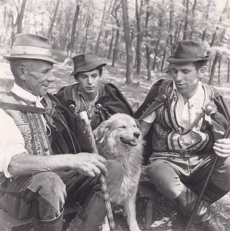 Obrázok bez popisu č.1063449