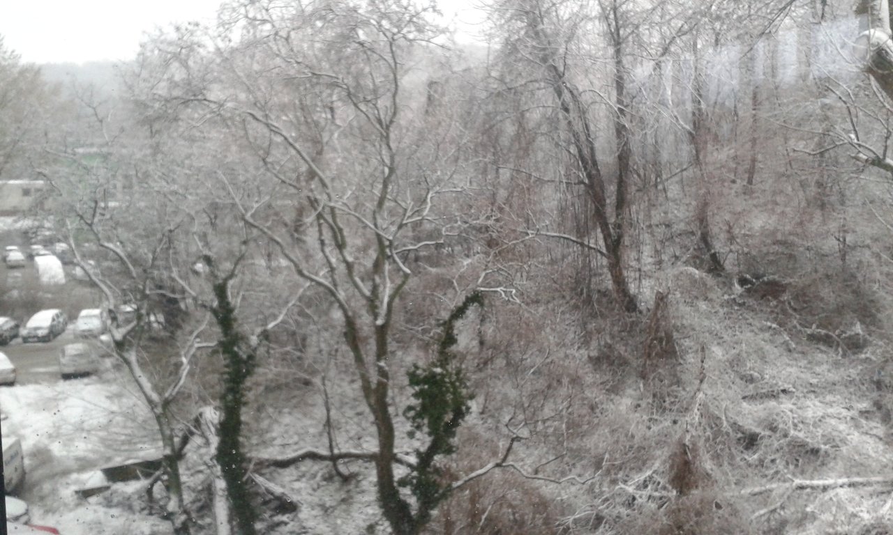 ctjb, sak je marec