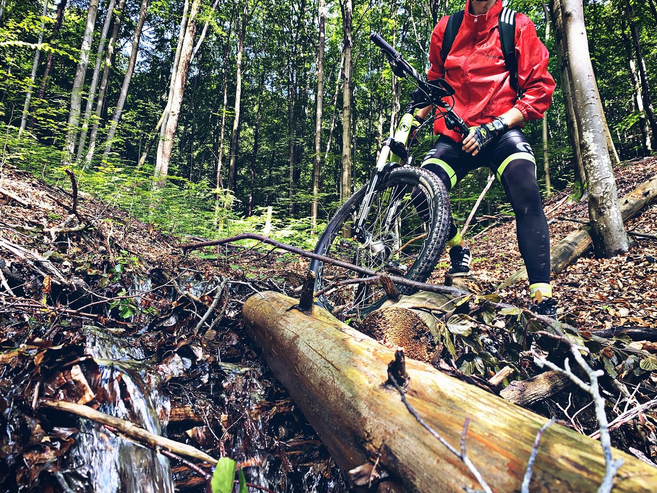 Lesný potôčik niekde pri Španej Doline. Zostup. Som mŕtvy.