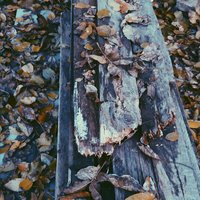 But the pieces were left to rot