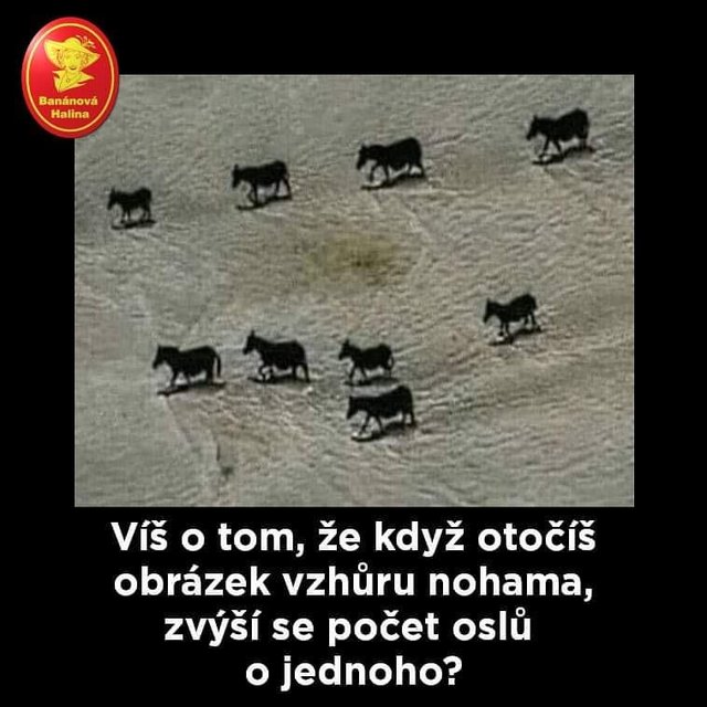 Obrázok bez popisu č.1075276