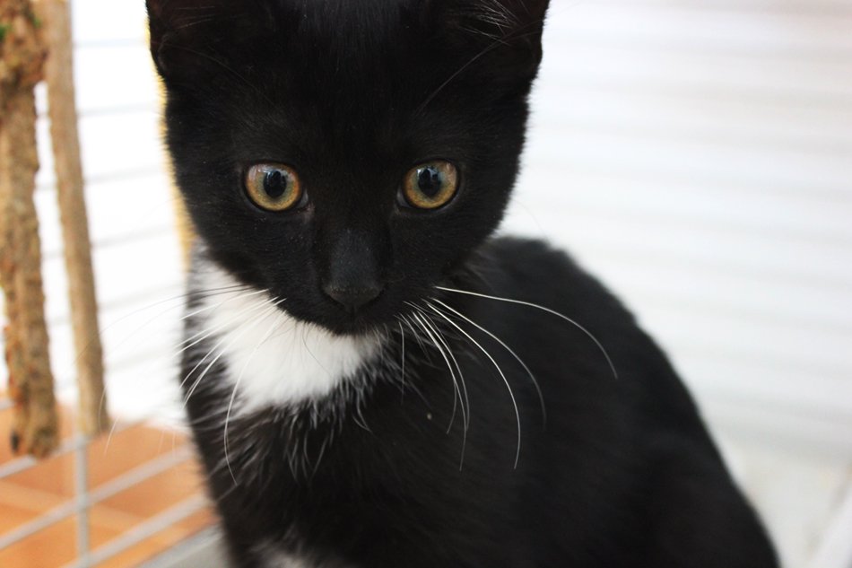 micka kraska :3