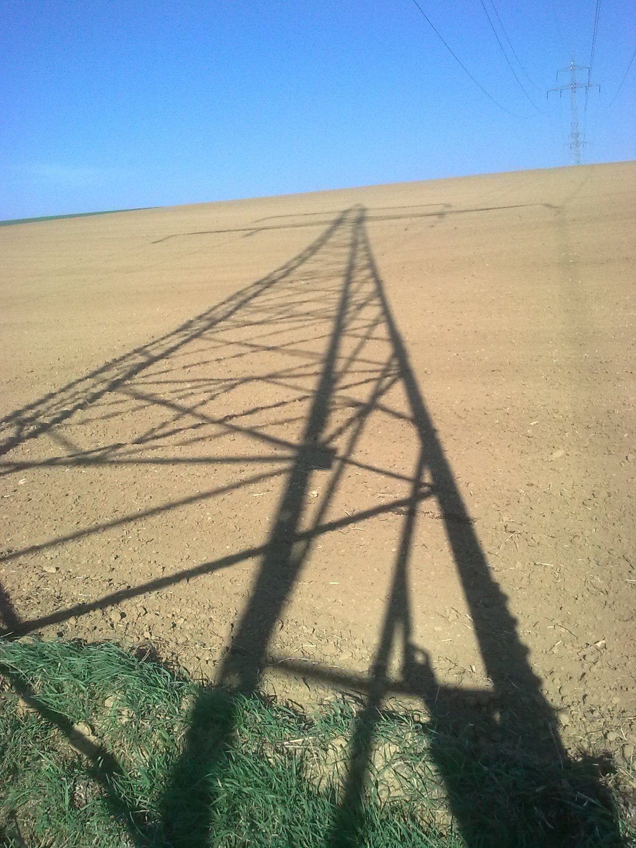 V poli železný strom stojí