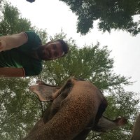 Keď aj slon chce okupovať obrázok (Jaipur, Rajastan India) 