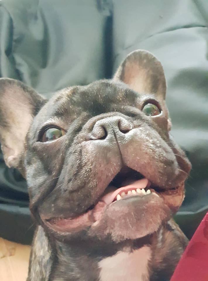 Maggie :)