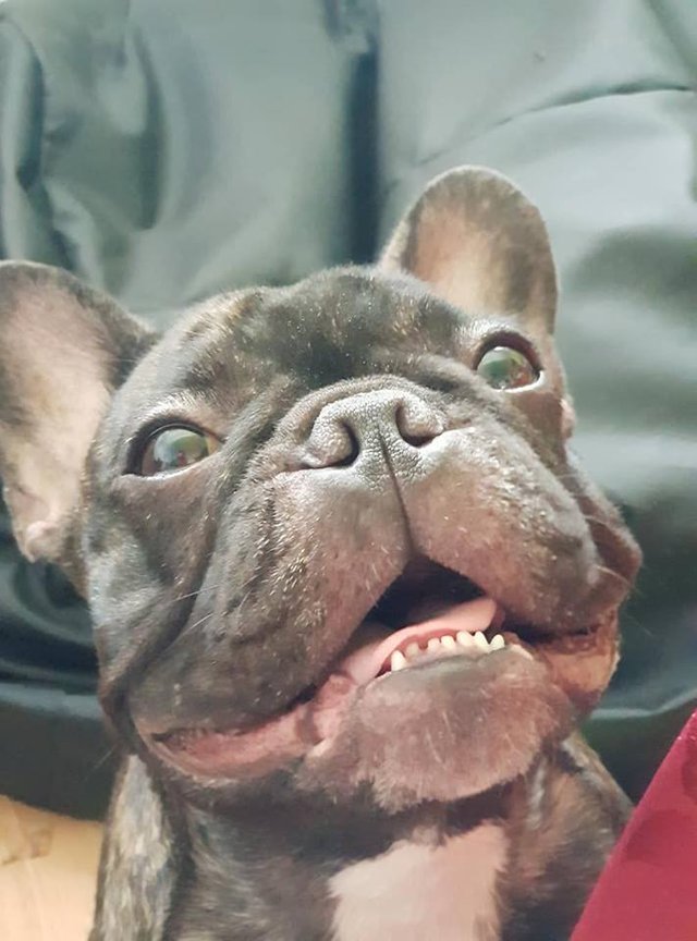 Maggie :)