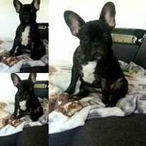 Meggie