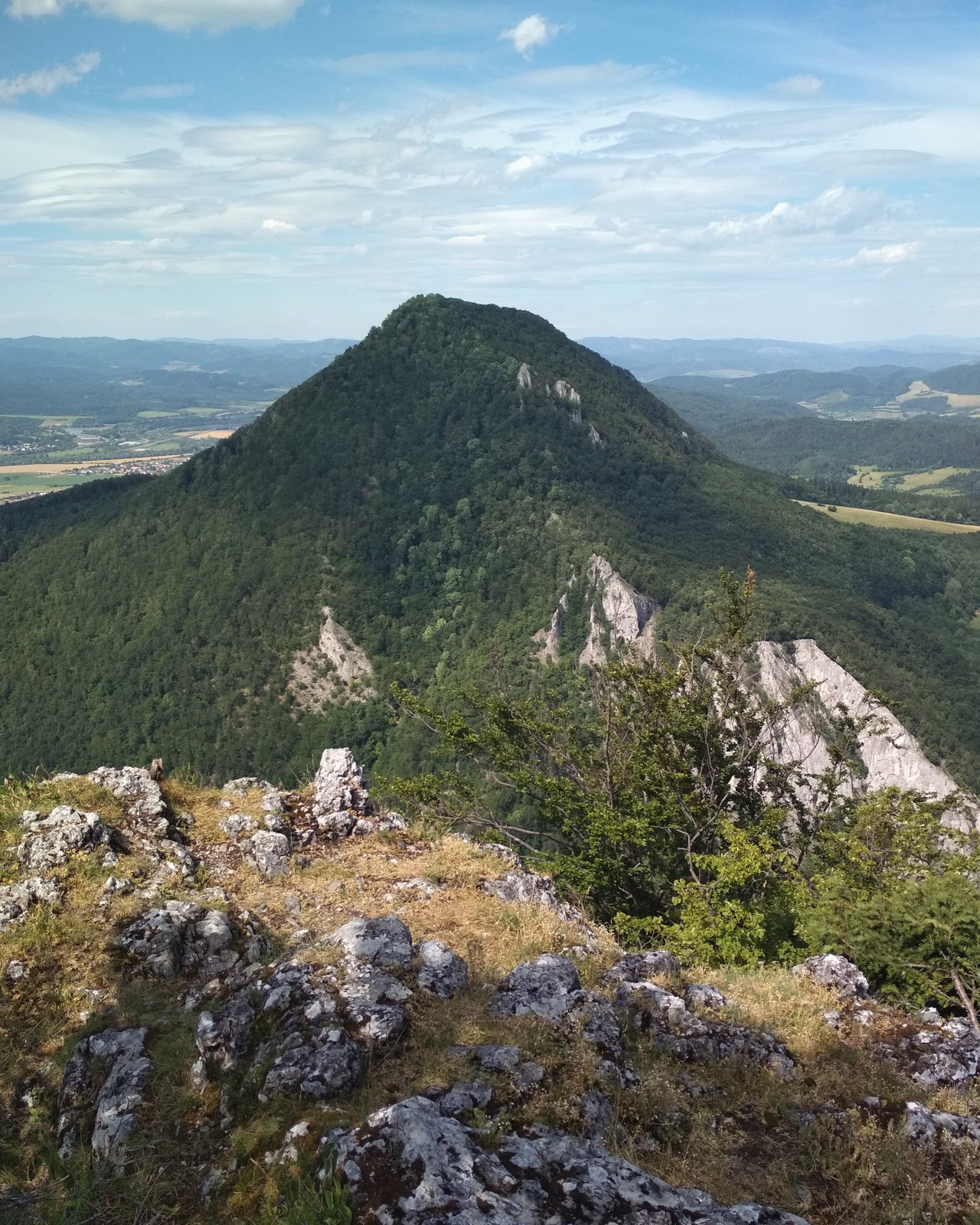 Manín