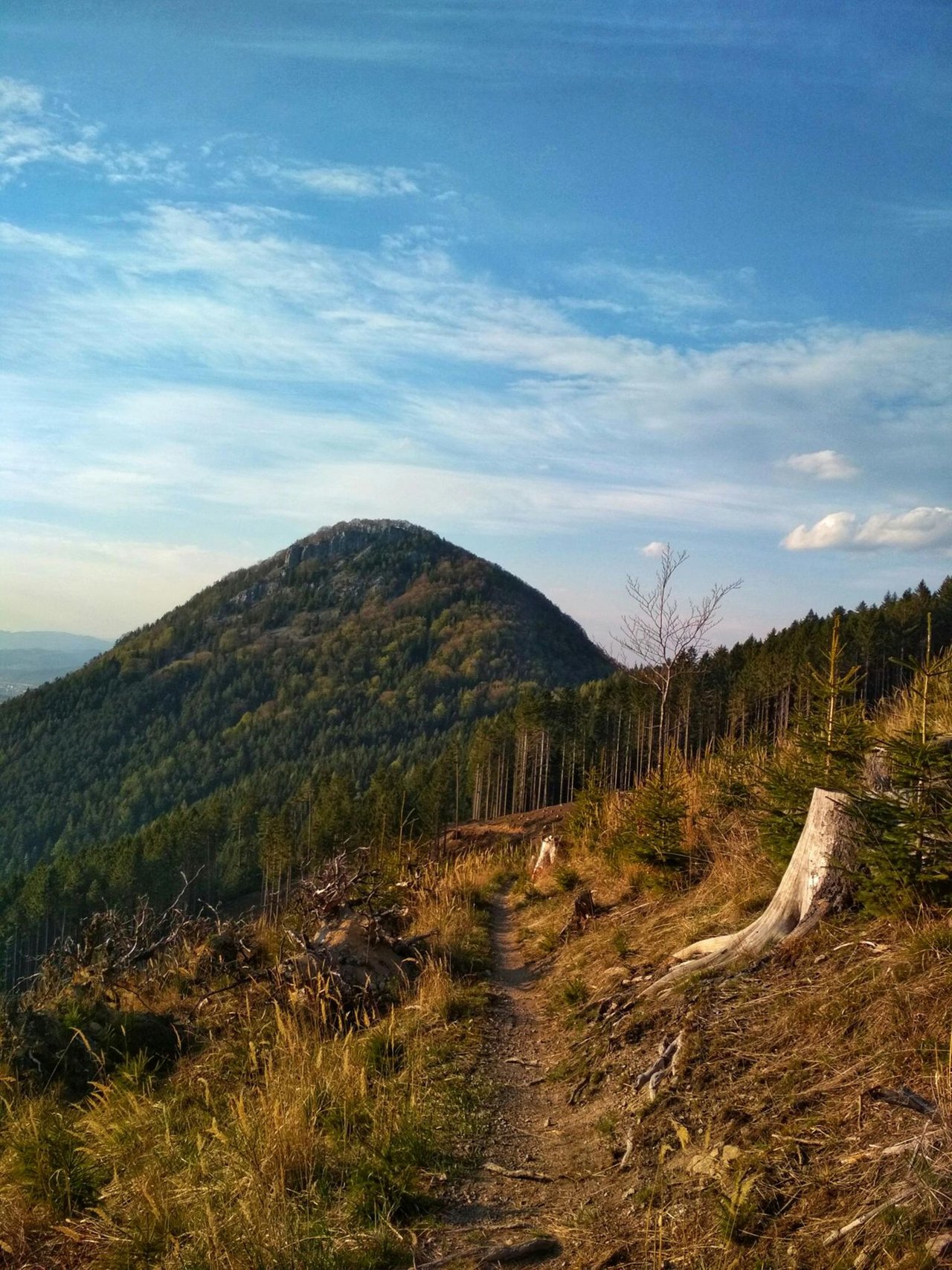 Obrázok bez popisu č.1071544