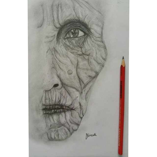 Obrázok bez popisu č.1037940