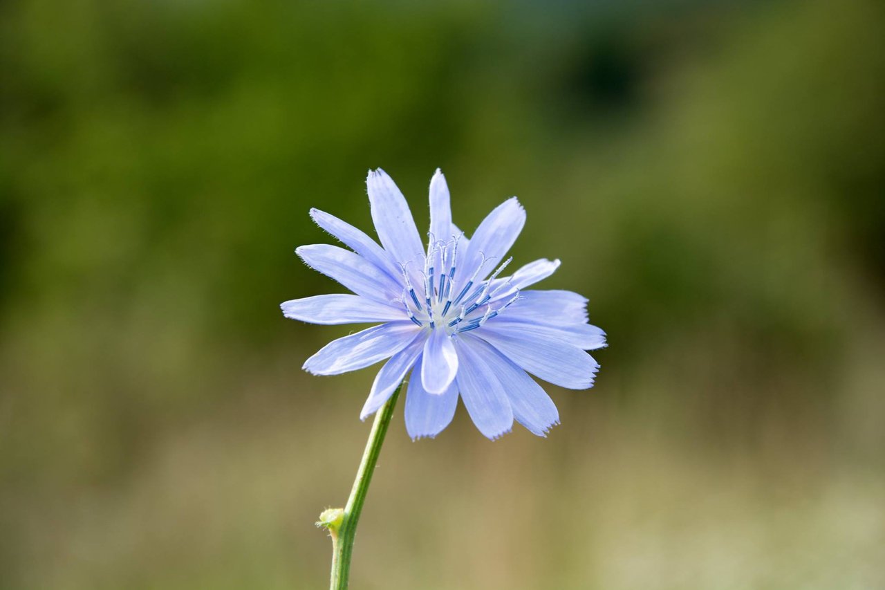 Obrázok bez popisu č.1028037