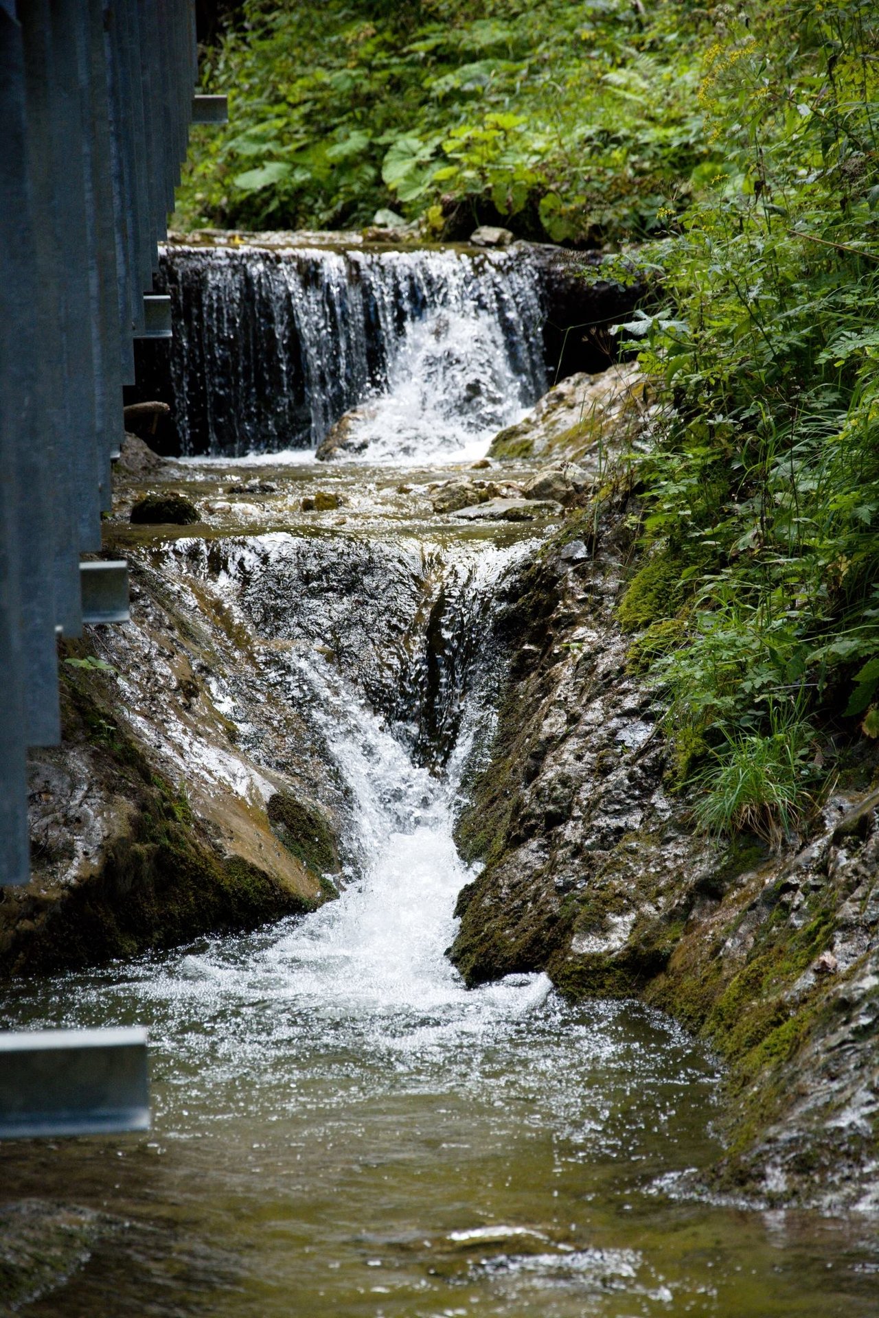Obrázok bez popisu č.1028033
