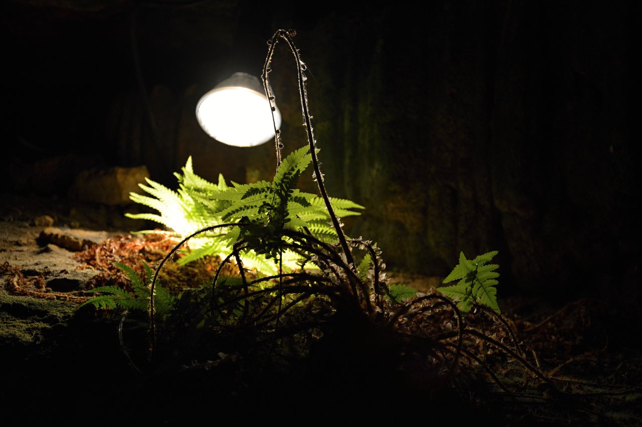 Obrázok bez popisu č.1028026