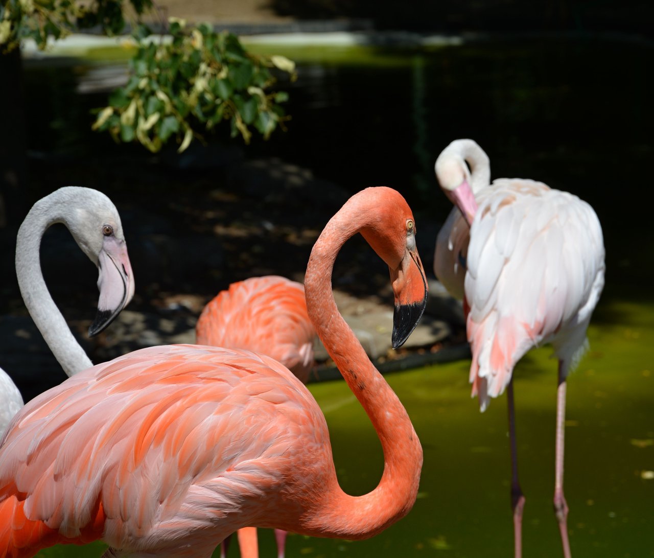 Obrázok bez popisu č.1028022