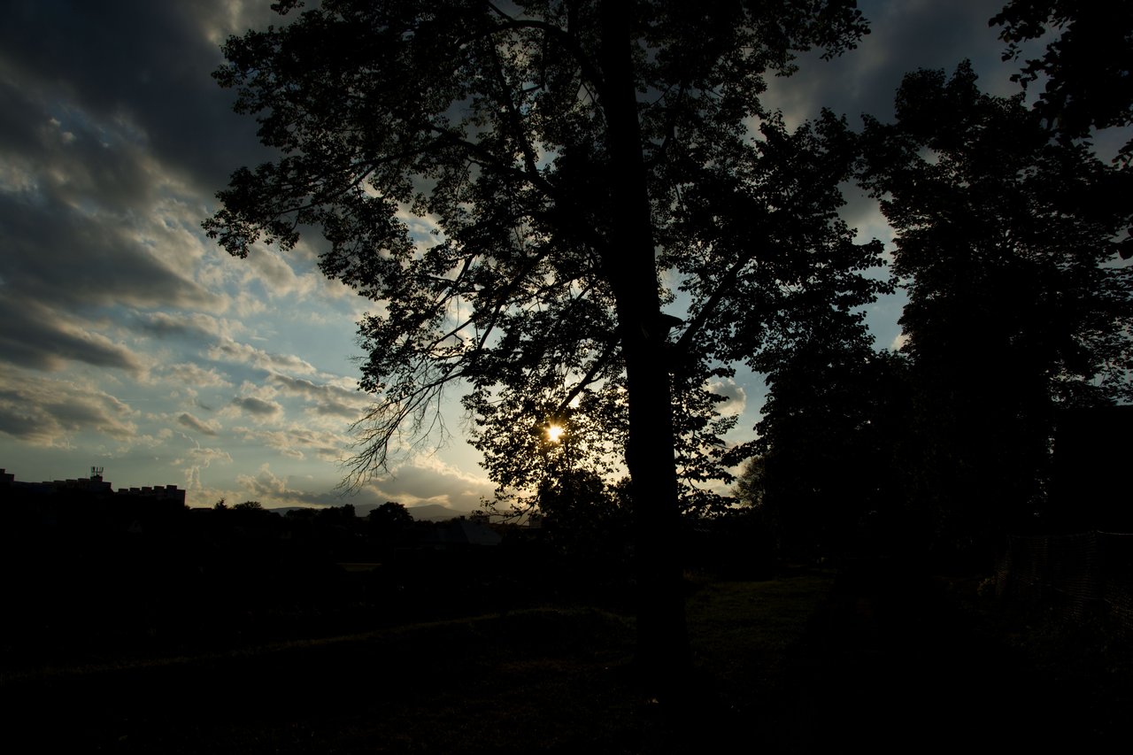 Obrázok bez popisu č.1028019