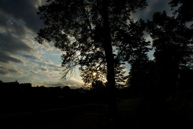 Obrázok bez popisu č.1028019