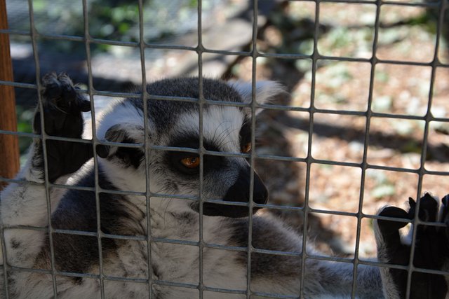 Obrázok bez popisu č.1028021