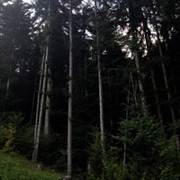 Popálila som si jazyk o risoto, ale čašník mi dal podpísať účet! 