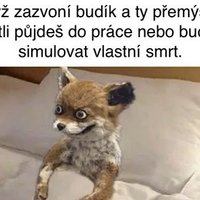 :D evry mónin