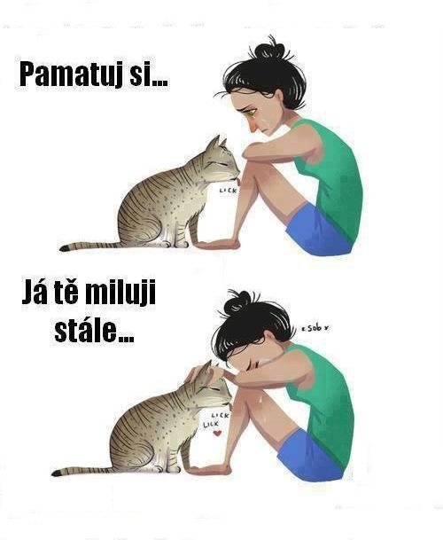 Obrázok bez popisu č.1003499