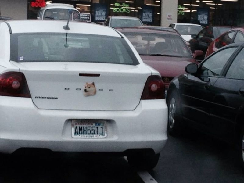 Doge avenger