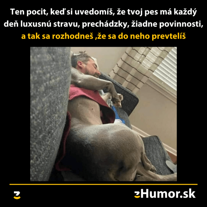 Obrázok bez popisu č.1080491