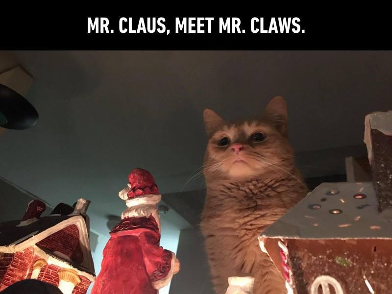 Attack on North Pole