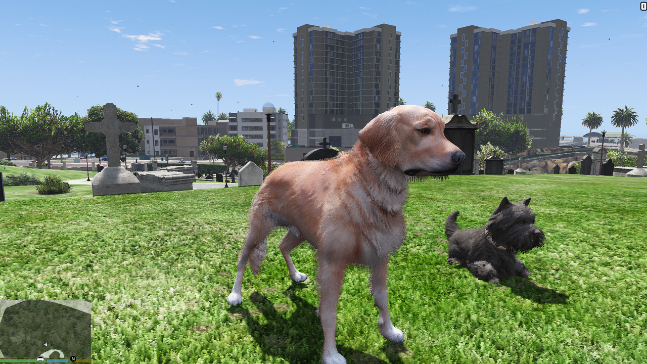 Ked uz tu je jeden zlaty retriever tak aj druhy, s kamaradom... a ve virtualnej realite