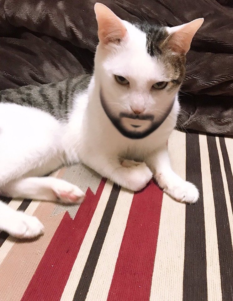 We need to talk