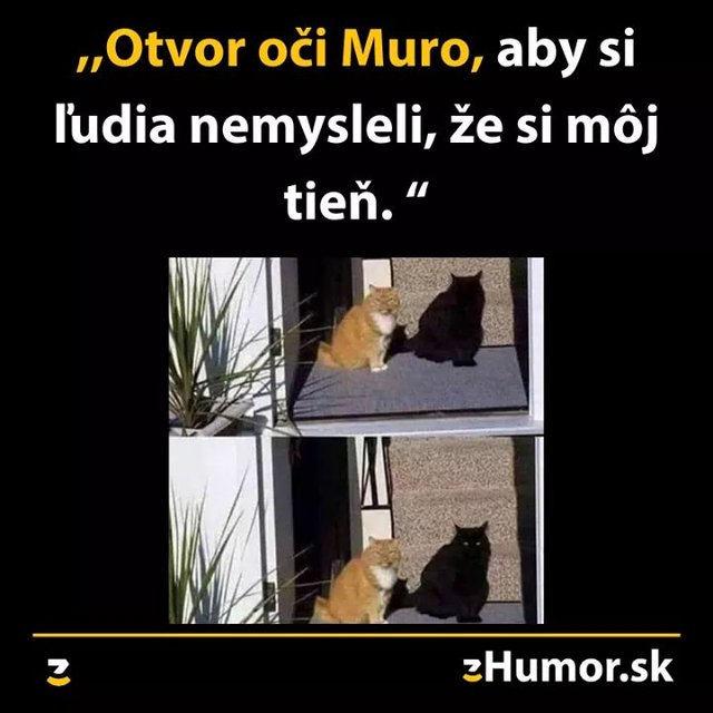 Obrázok bez popisu č.1065884