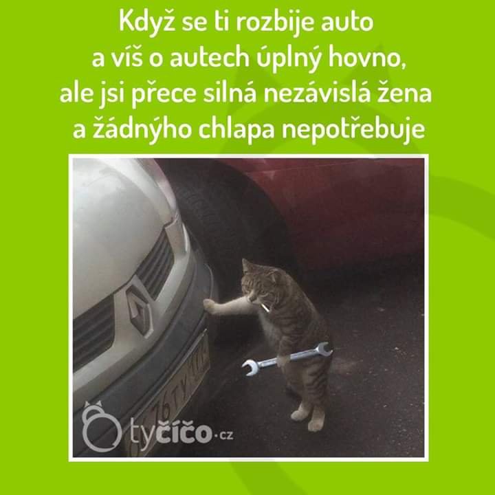 Obrázok bez popisu č.1061046