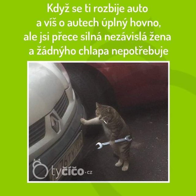 Obrázok bez popisu č.1061046