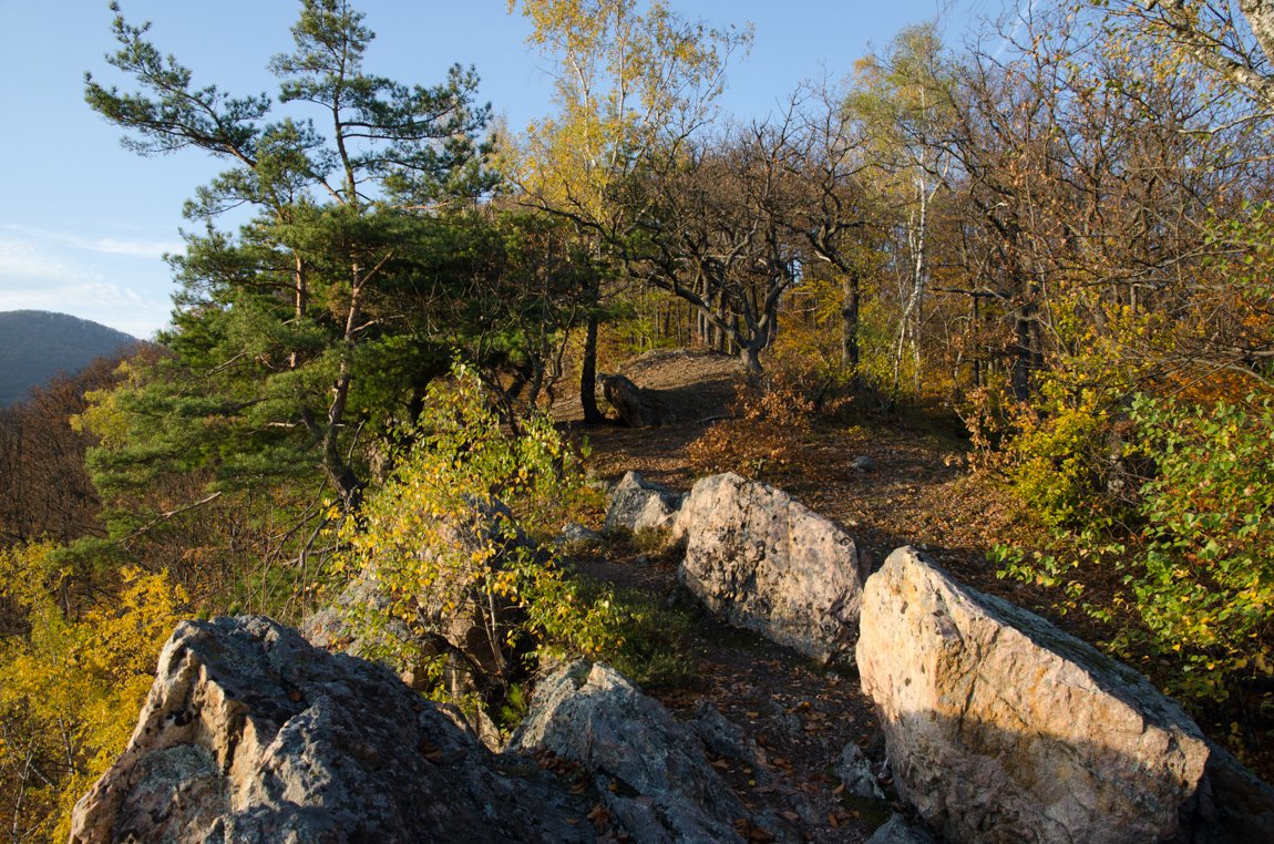 daavnejsie..fotil kamos