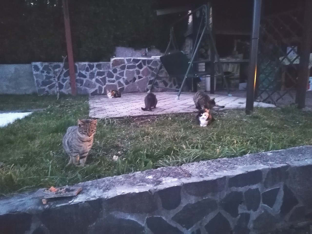 Dáš najesť jednému a na druhý deň tu máš toto :)