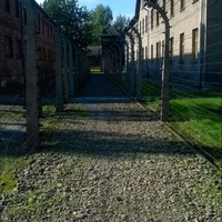Ukážka z nezaradených obrázkov