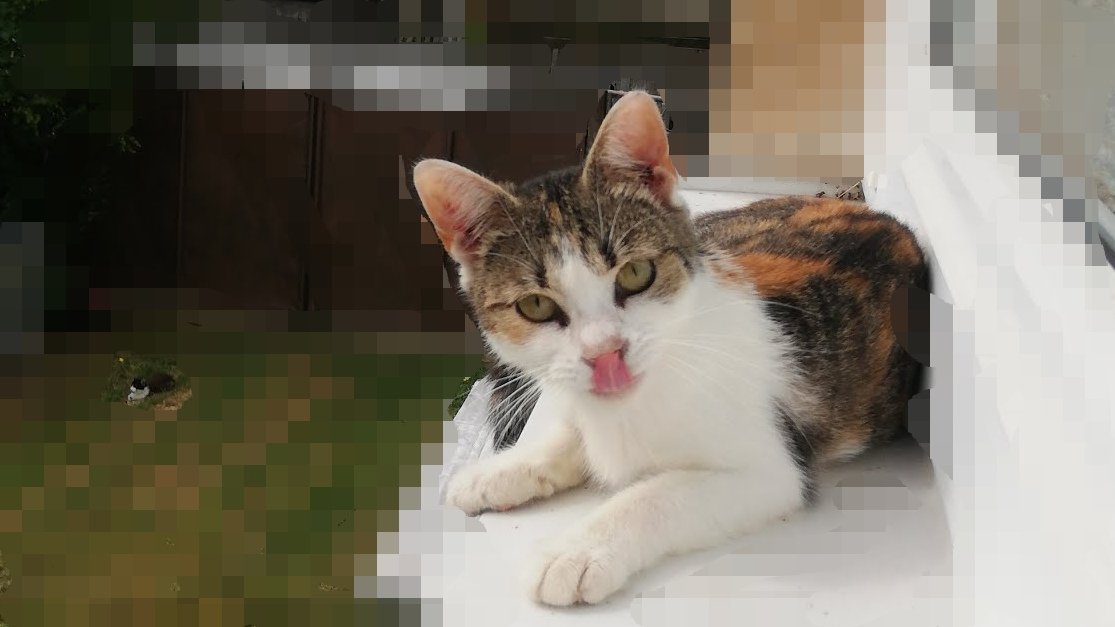 Nečum vole ! :D