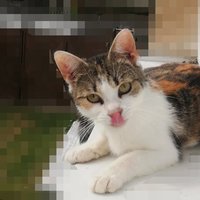 Nečum vole ! :D