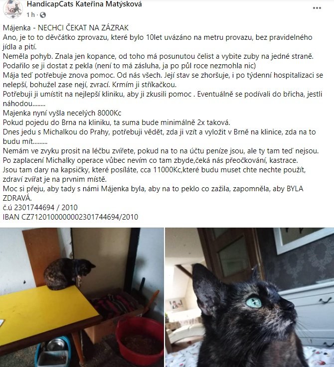 Rozhodol som sa, že túto iniciatívu budem podporovať viac ako je to u mňa zvyklé. 