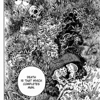 Ukážka z obrázkov v albume Manga