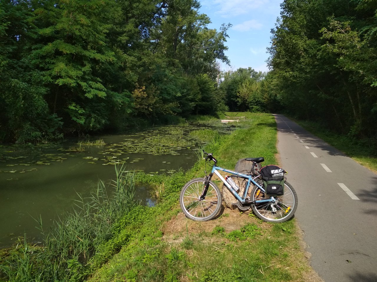 prišiel som k babke na obed. Na bicykli. Do Trnavy.