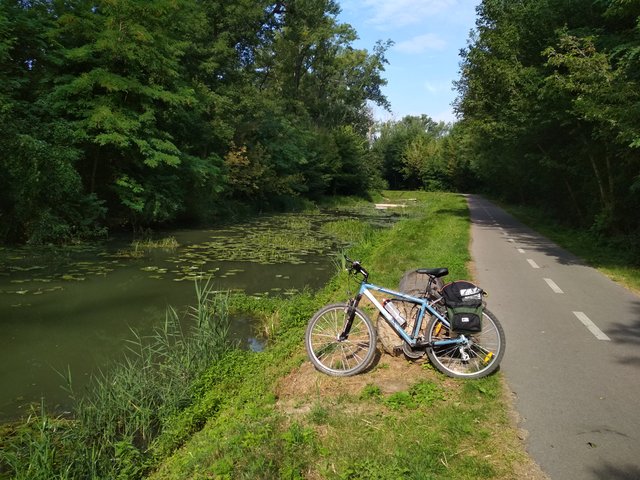 prišiel som k babke na obed. Na bicykli. Do Trnavy.
