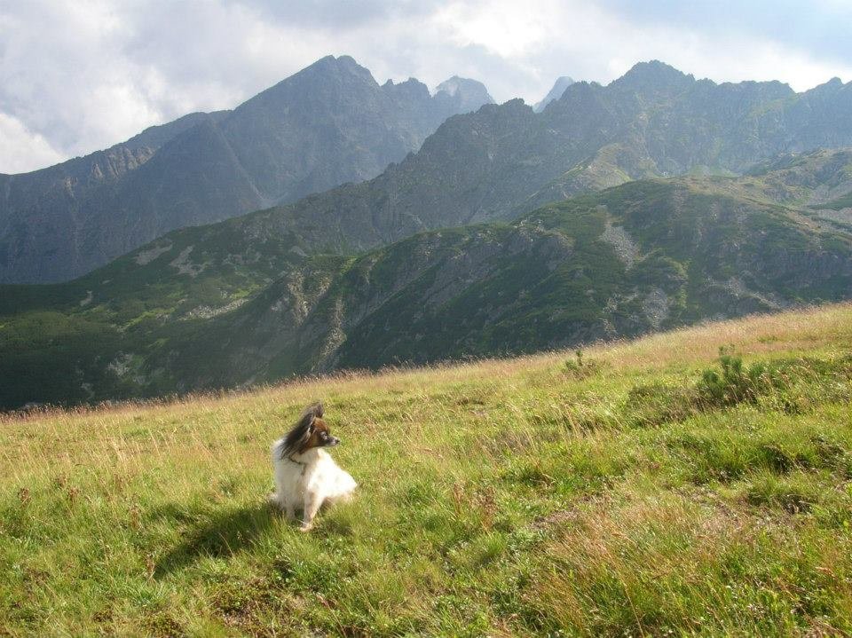 Vysoké Tatry