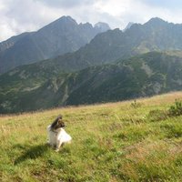 Vysoké Tatry