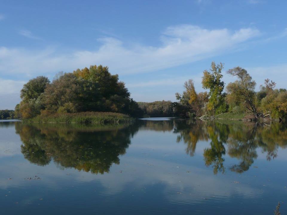 Dunajské luhy - Bodícke ramená