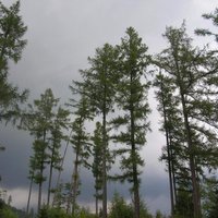 Vysoké Tatry