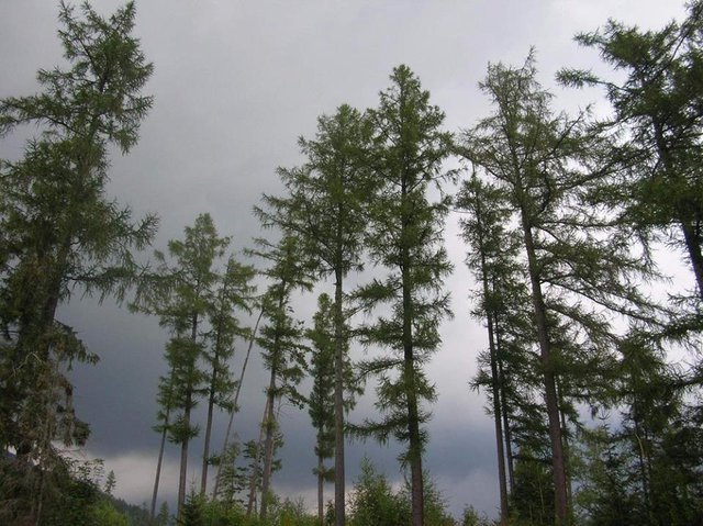 Vysoké Tatry